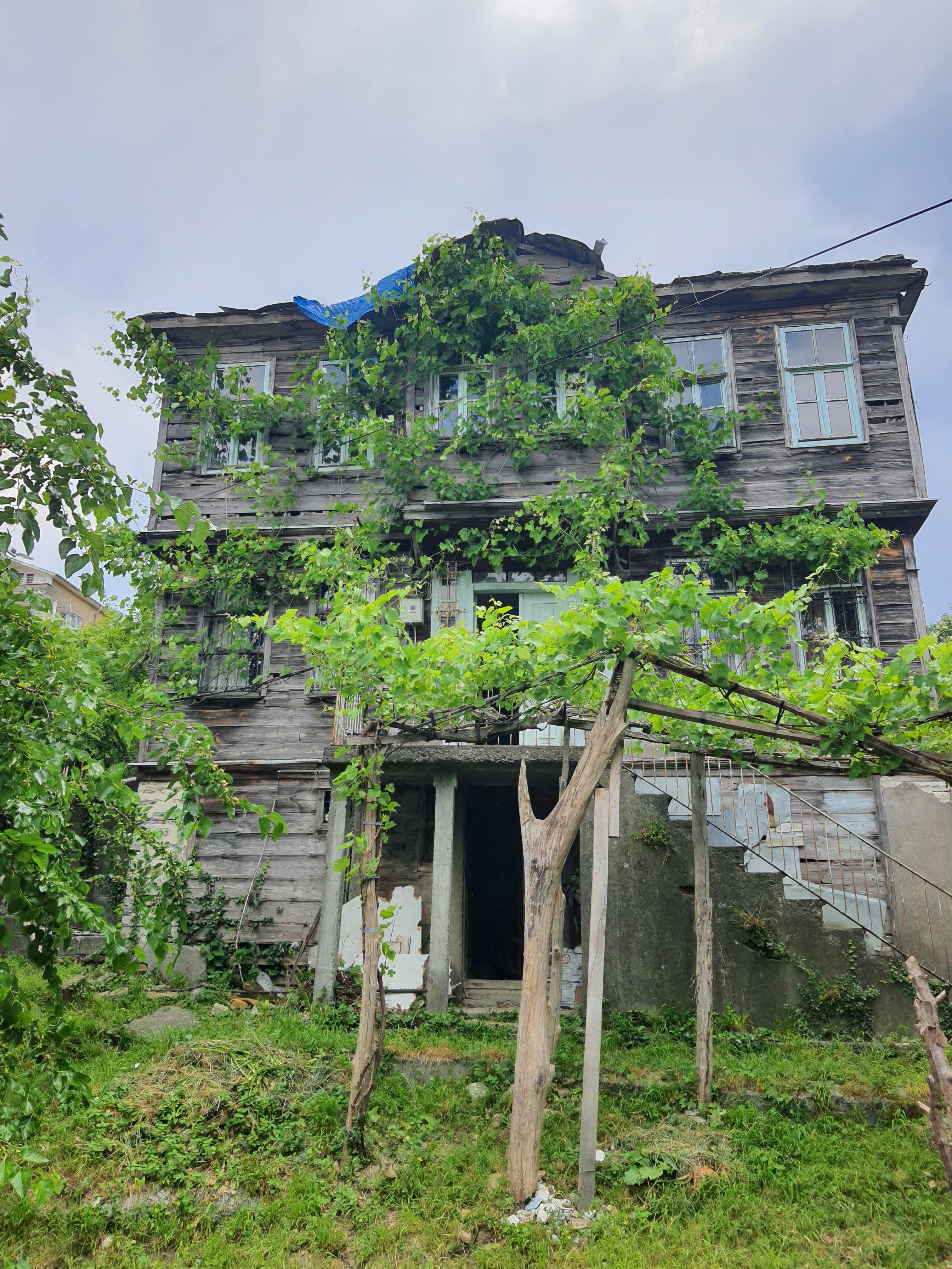 Restorasyon Çalışması 6